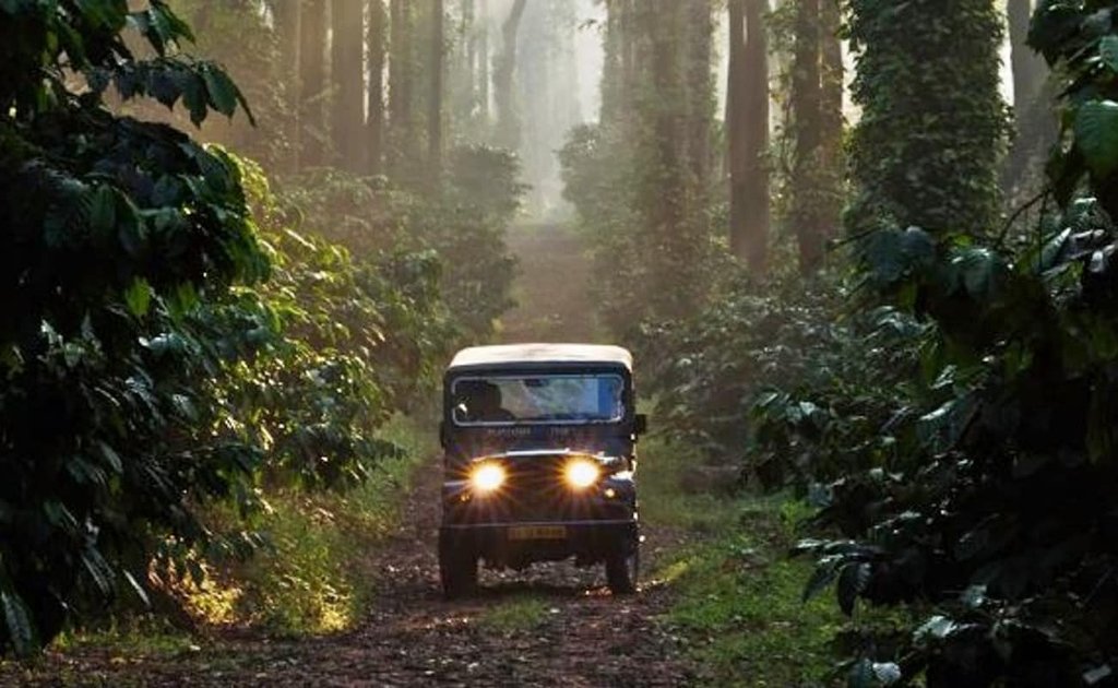 Pre Monsoon Special: Jeep Tour Of The Coffee Plantations Of Coorg